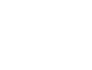 fanta-logo-white